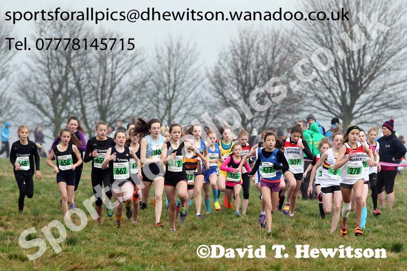 Under-13  girls NEHL, Aykley Heads, Durham. Photo: David T. Hewitson/Sports for All Pics